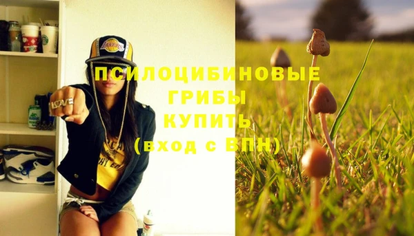 мдпв Нягань