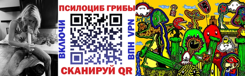 Псилоцибиновые грибы мицелий  Купить закладки  Серпухов 